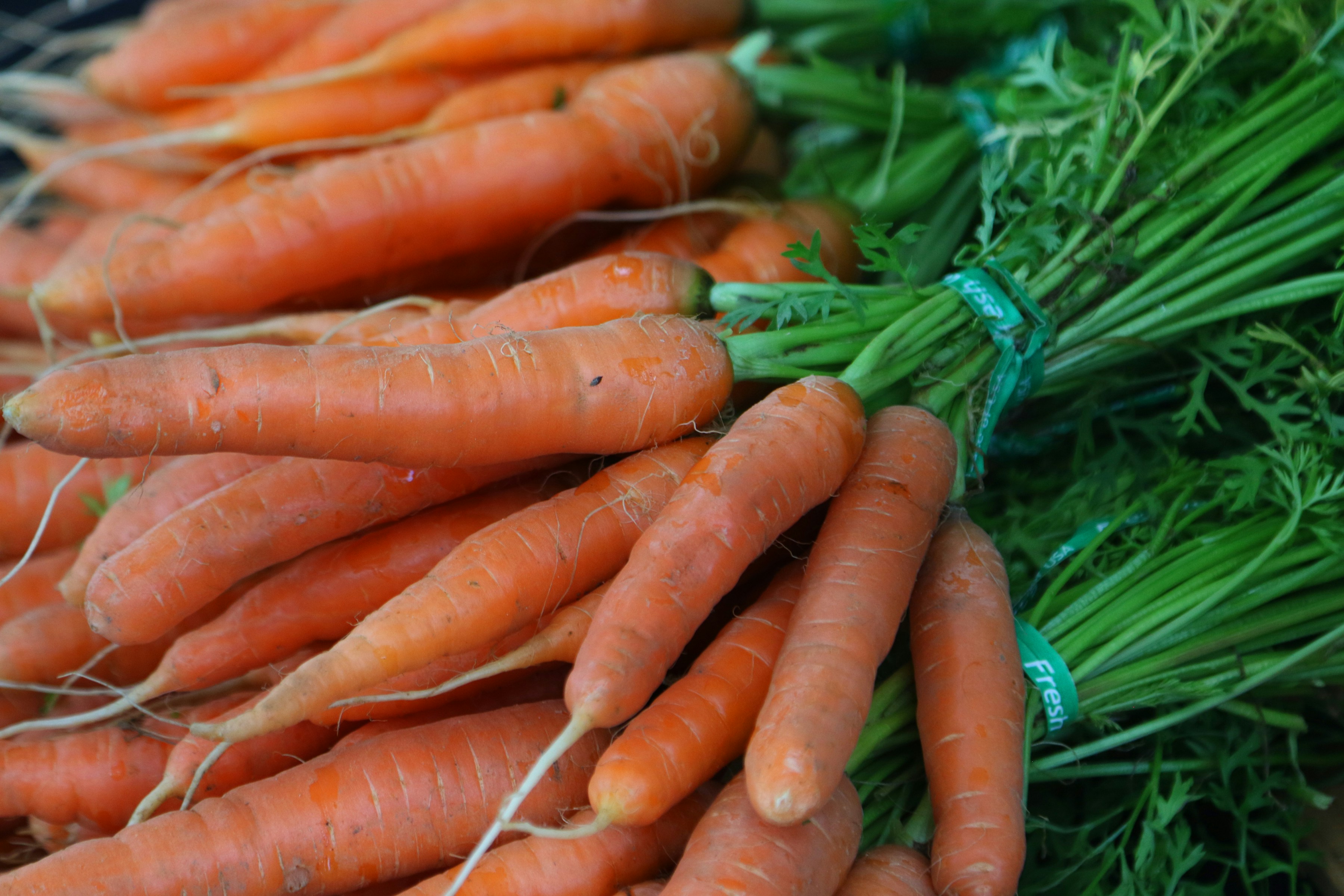 Carottes